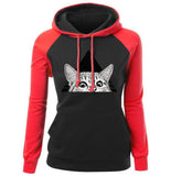 Cat Hoodie