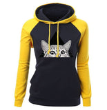 Cat Hoodie