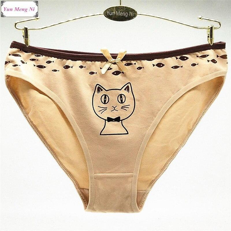 Cat Pet If You Can Women's Briefs, cat underwear, kitty panties, cute  panties, gift for her, cat lover gift women's underwear funny knickers