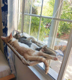 Cat Basket Window Hammock