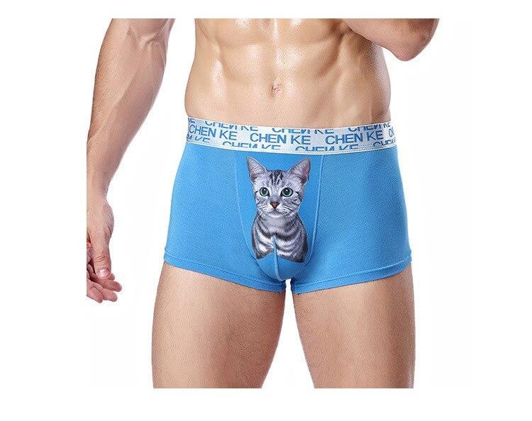 Mens Cat Boxer Briefs | Cats Lover