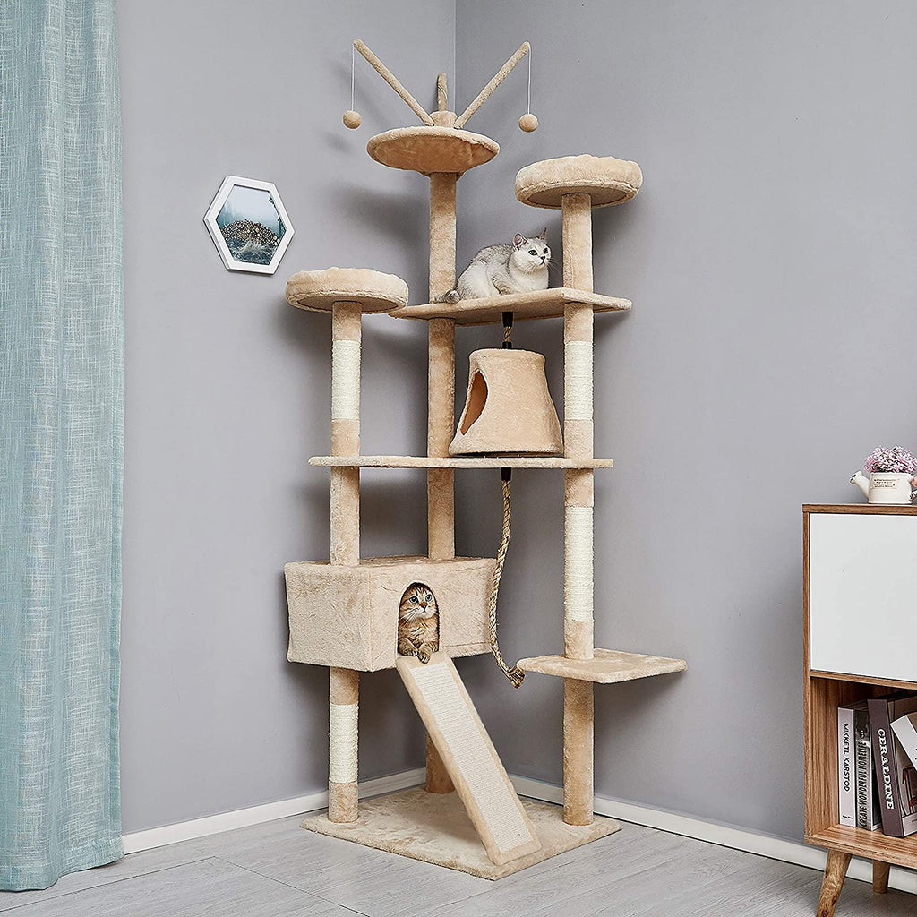 Why Every Cat Deserves a Stylish Corner at Home