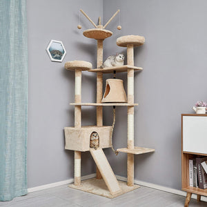 Why Every Cat Deserves a Stylish Corner at Home