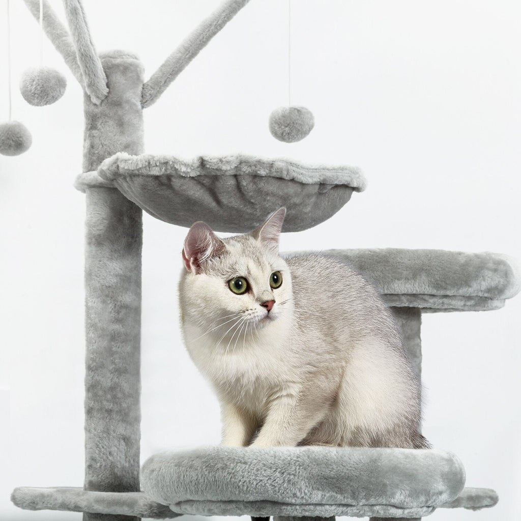 How to Tell If You’re a True Cat Person – 7 Hilarious Signs