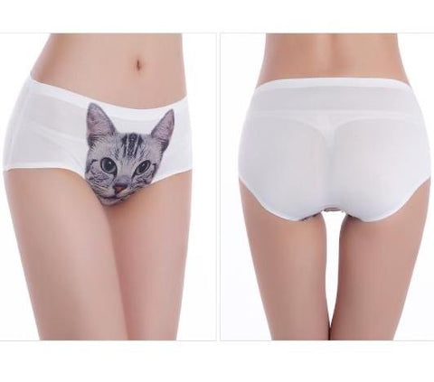 cat-underwear
