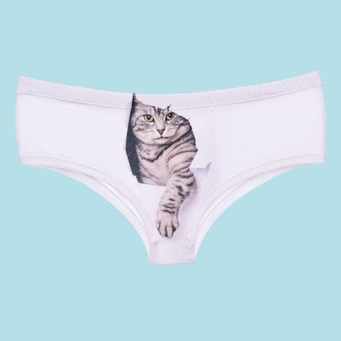 Women's Underwear Cat Print, Women's Panties Print Cats