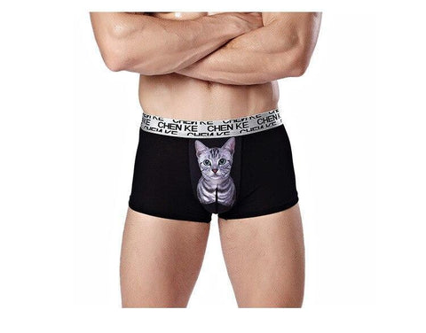 Cat Underwear