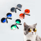 Sunglasses for Cat